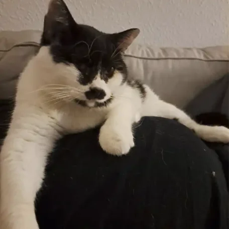 Freddie 7