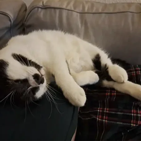 Freddie 9